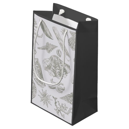 Seashell Soft Antiek Art Beach Shells Klein Cadeauzakje (Achterkant Gekanteld)