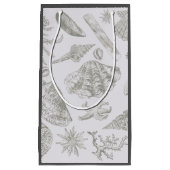 Seashell Soft Antiek Art Beach Shells Klein Cadeauzakje (Voorkant)