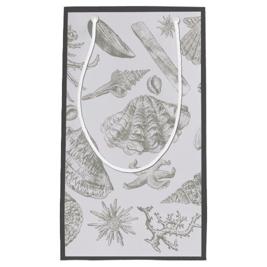 Seashell Soft Antiek Art Beach Shells Klein Cadeauzakje (Voorkant)