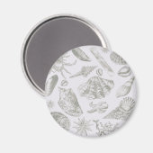 Seashell Soft Antiek Art Beach Shells Magneet (Voorkant / Achterkant)