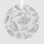 Seashell Soft Antiek Art Beach Shells Ornament (voorkant)