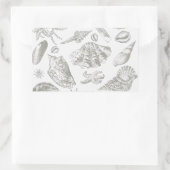 Seashell Soft Antiek Art Beach Shells Rechthoekige Sticker (Tas)