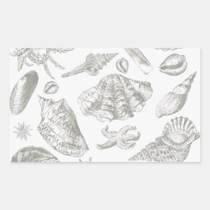 Seashell Soft Antiek Art Beach Shells Rechthoekige Sticker