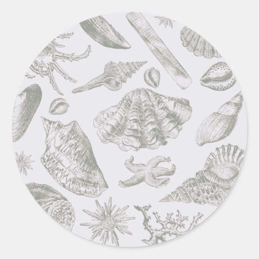 Seashell Soft Antiek Art Beach Shells Ronde Sticker (Voorkant)