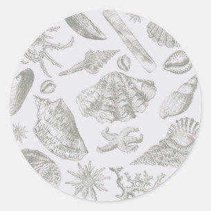 Seashell Soft Antiek Art Beach Shells Ronde Sticker