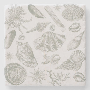 Seashell Soft Antiek Art Beach Shells Stenen Onderzetter