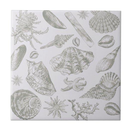 Seashell Soft Antiek Art Beach Shells Tegeltje (Voorkant)