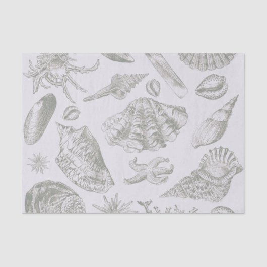 Seashell Soft Antiek Art Beach Shells Tissuepapier (Voorkant)