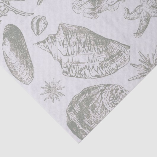 Seashell Soft Antiek Art Beach Shells Tissuepapier (Detail)