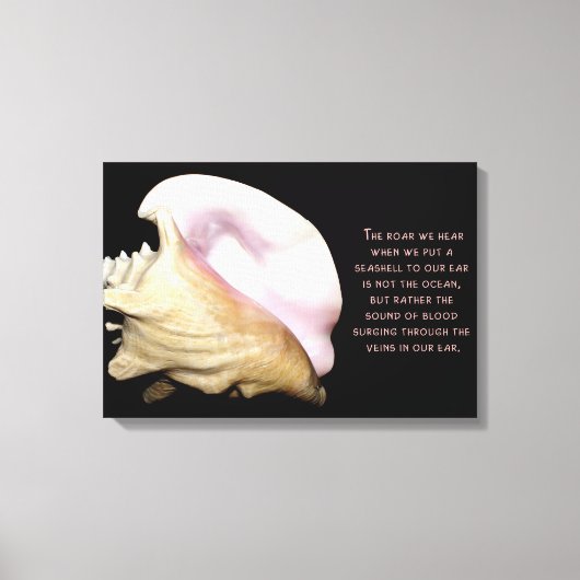 Seashell Sound Wrapped Canvas Afdruk (Voorkant)