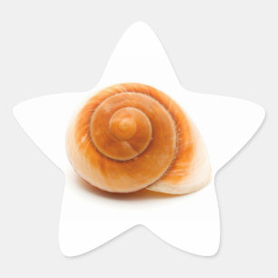 Seashell Ster Sticker