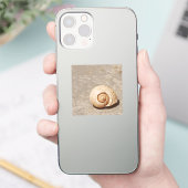 SeaShell Sticker (Telefoon)