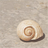 SeaShell Sticker (Voorkant)