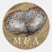 Seashell stickers (Voorkant)