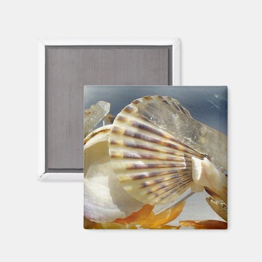 Seashell Sunshine Magnet (Voorkant / Achterkant)