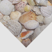 Seashell Tissuepapier (Detail)