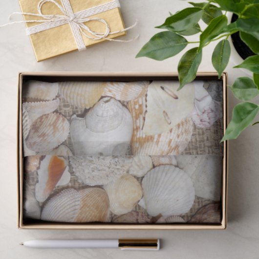Seashell Tissuepapier (Geschenk)