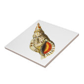  Seashell-trompet Illustratie Acryllade Tegeltje (Zijkant)