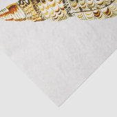  Seashell trompet Illustratie Tissuepapier (Detail)
