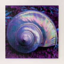 Seashell tropische opalescente moeder van parelhoe