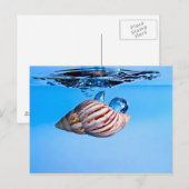 Seashell valt in water briefkaart (Voorkant / Achterkant)