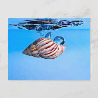Seashell valt in water briefkaart