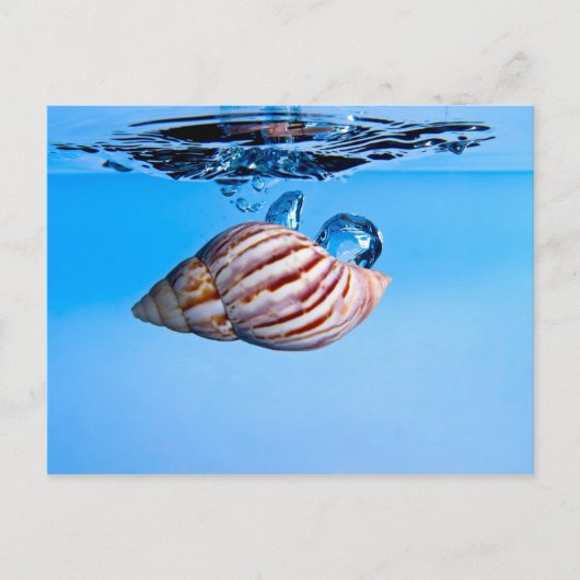Seashell valt in water briefkaart (Voorkant)