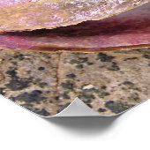 Seashell van de kust poster (Hoek)