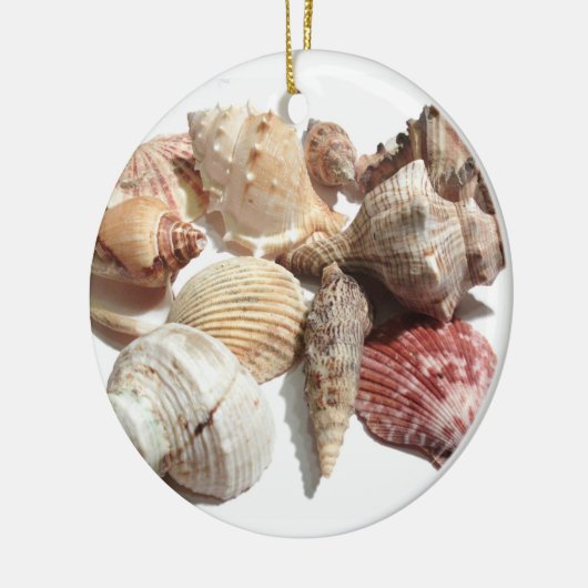 Seashell-versiering Keramisch Ornament (Links)