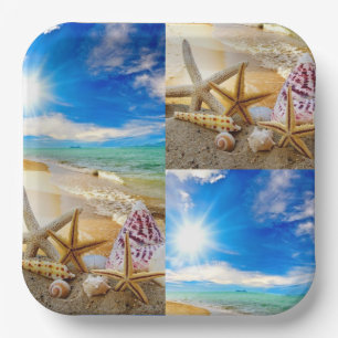 Seashell vierkant Papier Bord