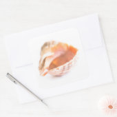 Seashell Vierkante Sticker (Envelop)