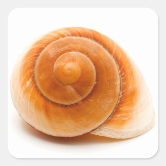 Seashell Vierkante Sticker (Voorkant)