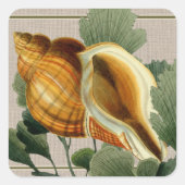 Seashell Vintage Beach Square Sticker (Voorkant)