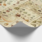 Seashell Wrap voor Ontkoppel of Gift Wrap Cadeaupapier (Hoek)