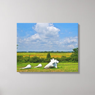 Seashell Wrapped Canvas Afdruk