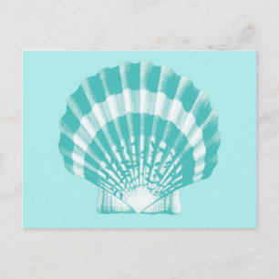 Seashell - zachte aqua en wit briefkaart