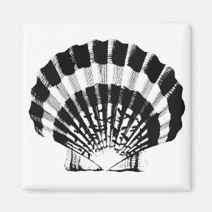 Seashell - zwart-wit magneet