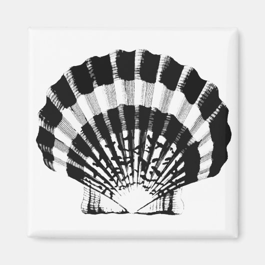 Seashell - zwart-wit magneet (Voorkant)