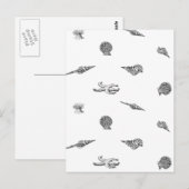 Seashellen en toneelspatroon briefkaart (Voorkant / Achterkant)