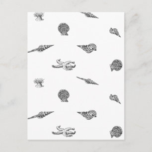 Seashellen en toneelspatroon briefkaart
