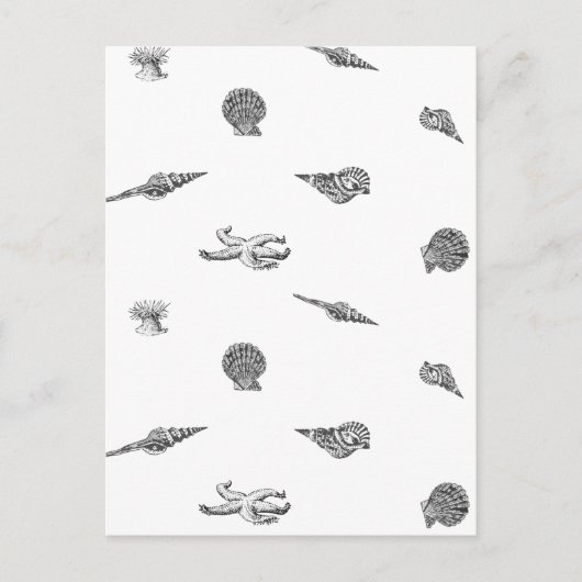 Seashellen en toneelspatroon briefkaart (Voorkant)
