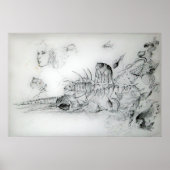 SEASHELLEN MET JONGE MEISJE POSTER (Voorkant)