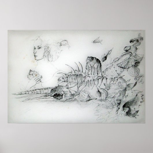 SEASHELLEN MET JONGE MEISJE POSTER (Voorkant)