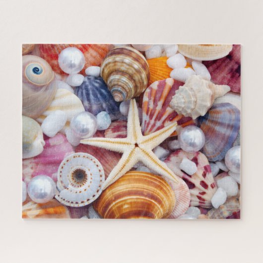 Seashells 520 stuk puzzel (Horizontaal)