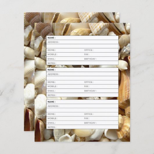 Seashells adresboek pagina (Voorkant / Achterkant)