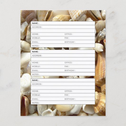 Seashells adresboek pagina (Achterkant)