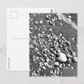 Seashells Beach Black & White Florida Foto Briefkaart (Voorkant / Achterkant)