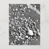 Seashells Beach Black & White Florida Foto Briefkaart (Voorkant)