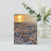 Seashells Beach Sunset Clearwater Florida Foto Briefkaart (Staand voorkant)