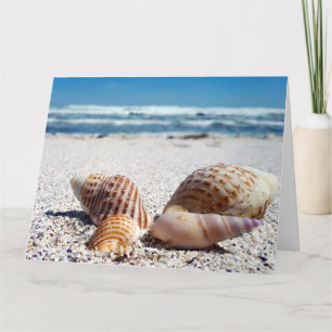 SEASHELLS BEACH TROPICAL BIRTHDAY WENSKAART KAART